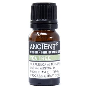 Frasco de aceite esencial orgánico de árbol de té sobre fondo blanco
