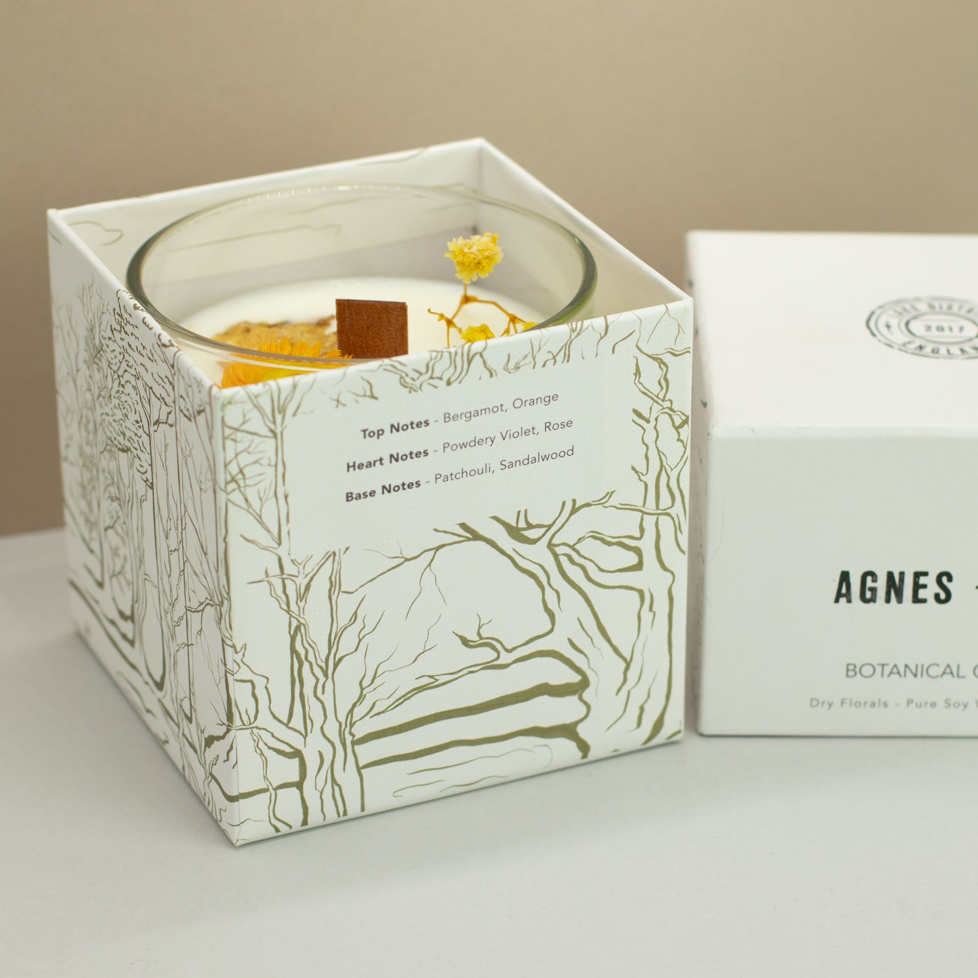 Agnes + Cat Vela de Cera de Soja Botánica - Rydal Oudh - Imagen 4