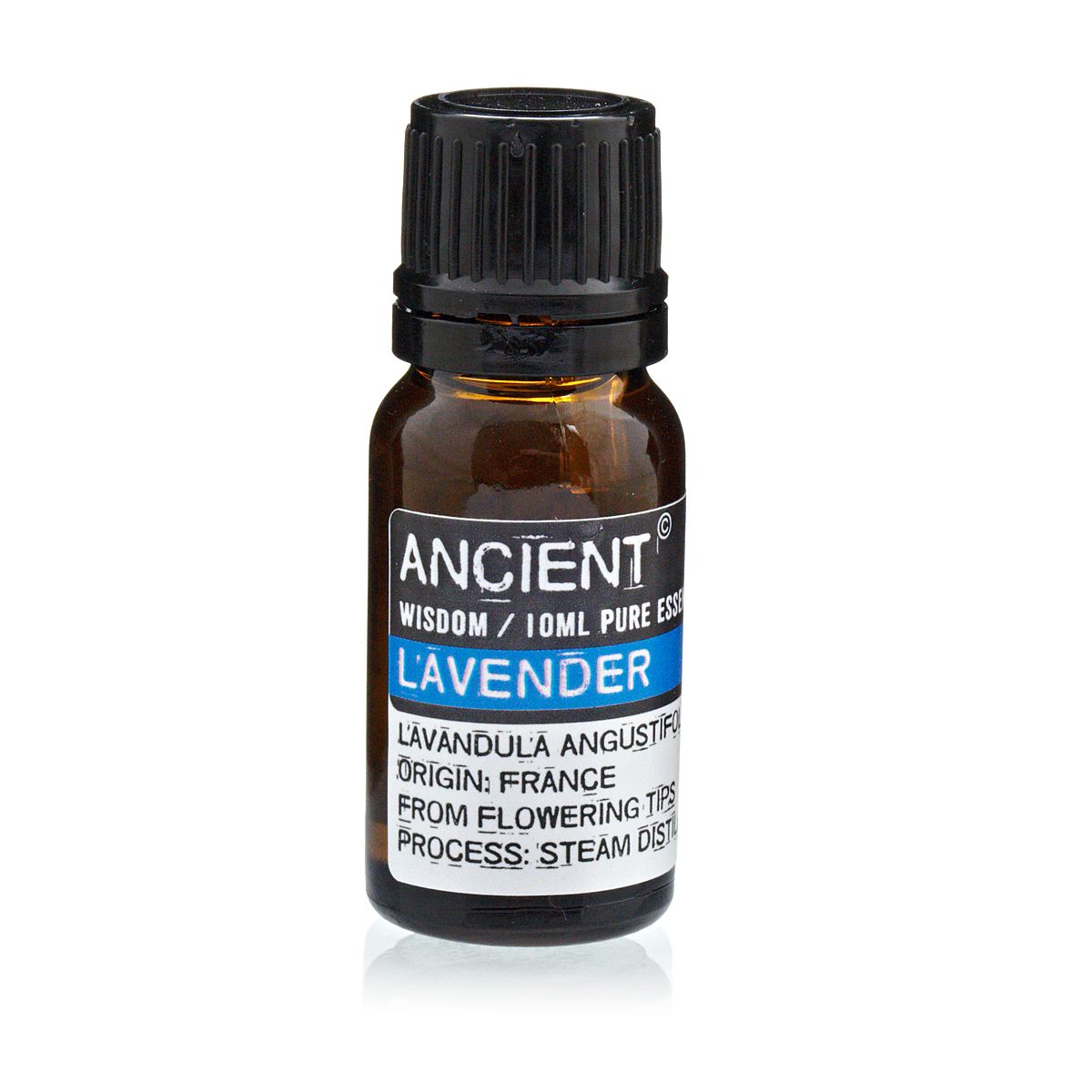 Aceite Esencial Lavanda - Imagen 6