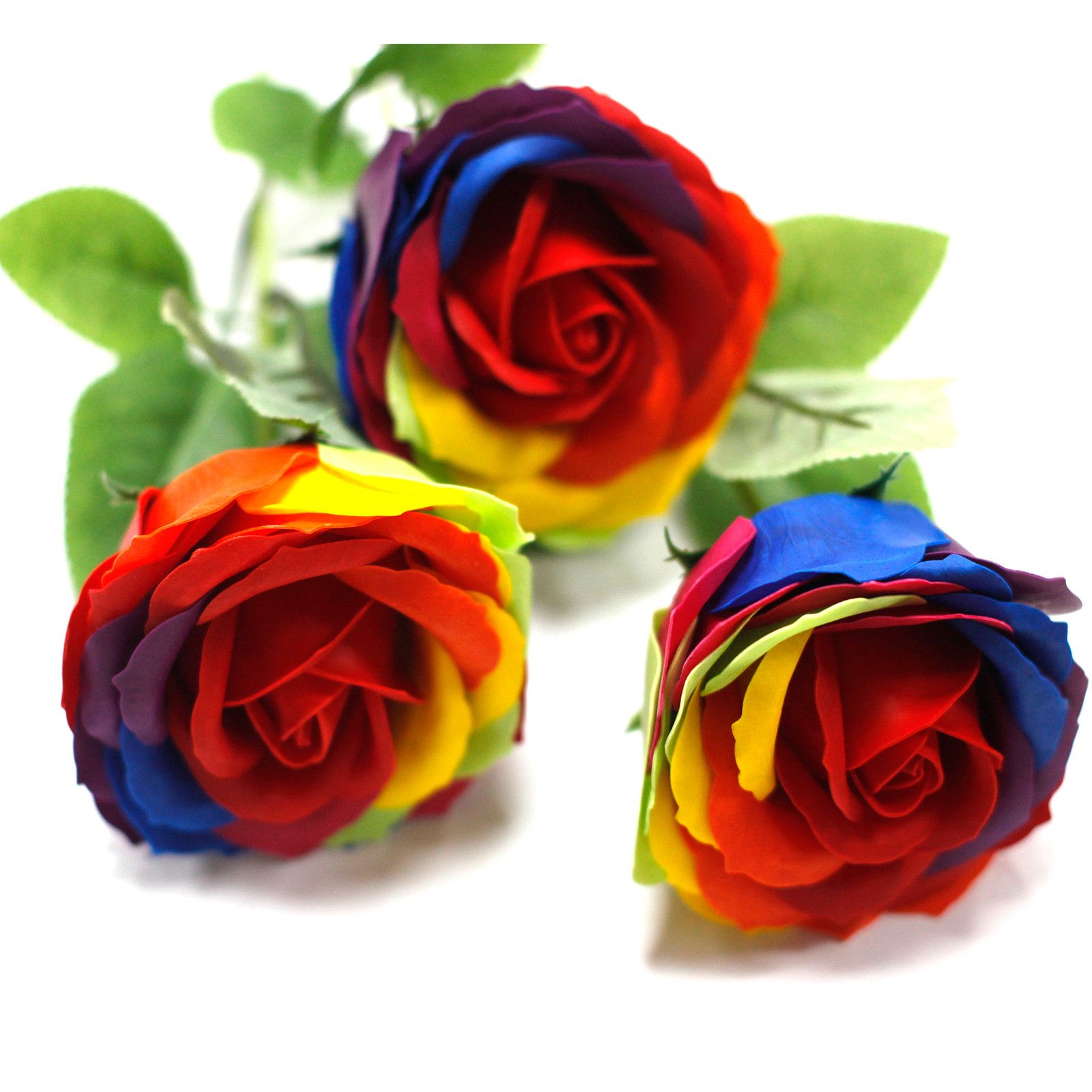 Rosa simple - Arco iris - Imagen 3