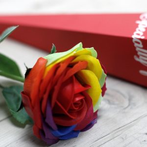 Rosa simple - Arco iris