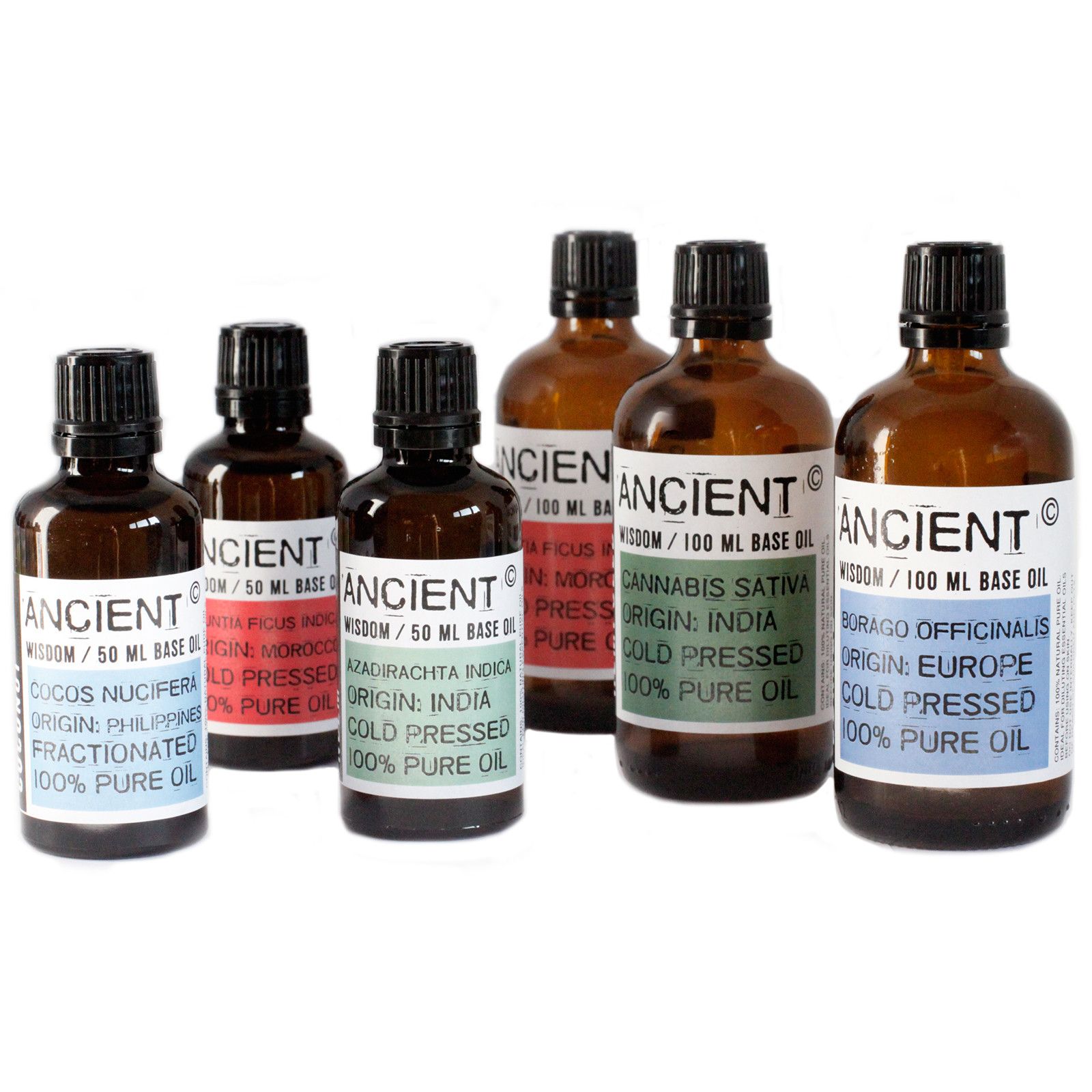 Aceite Base 50ml - Albaricoque - Imagen 4