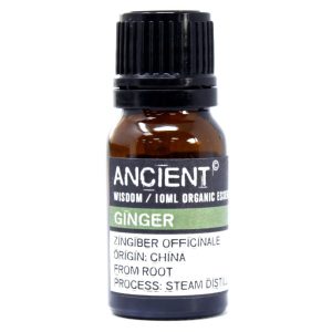 Aceite esencial orgánico - Jengibre