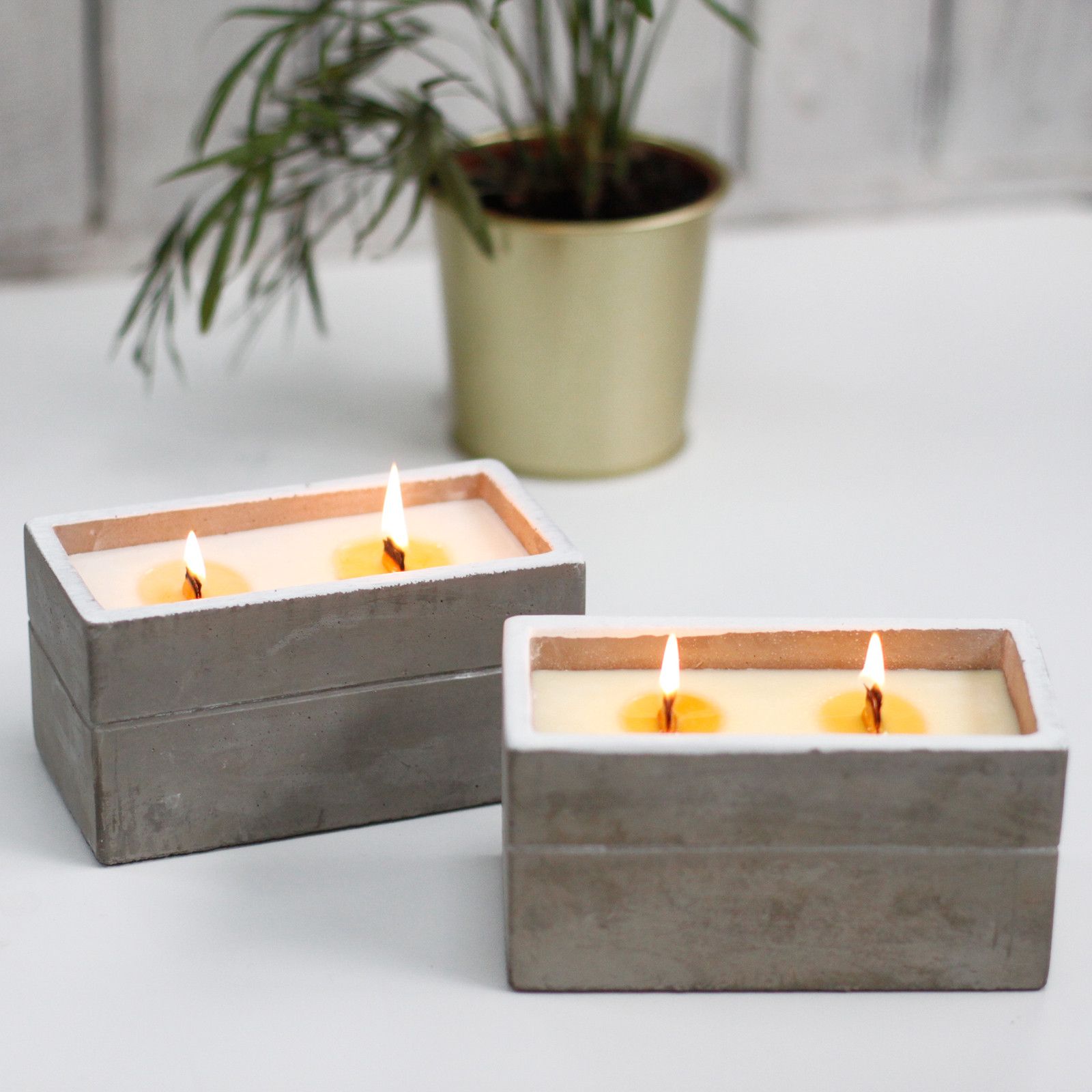 Caja grande - Spiced South Sea Lime - Imagen 3
