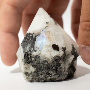 Puntas pulidas de piedra preciosa - Moonstone arcoíris (aproximadamente 5-6 piezas)