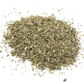 Melisa de hoja cortada y seca sobre fondo blanco.