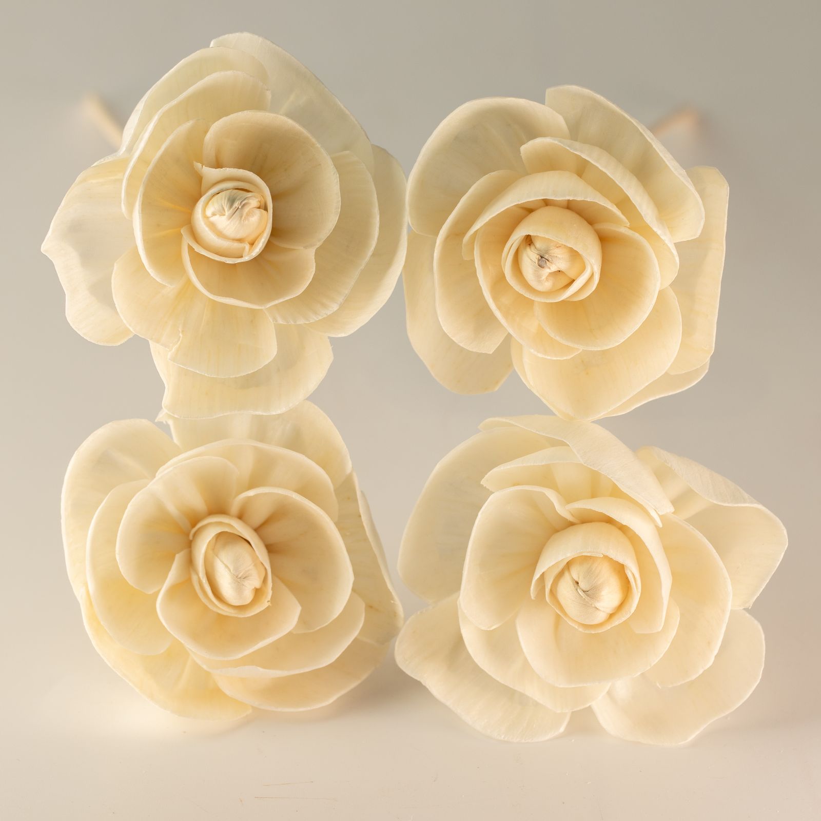 Flor Difusora de Madera Rosa Mediana – Pack de 4, En Caña - Imagen 5