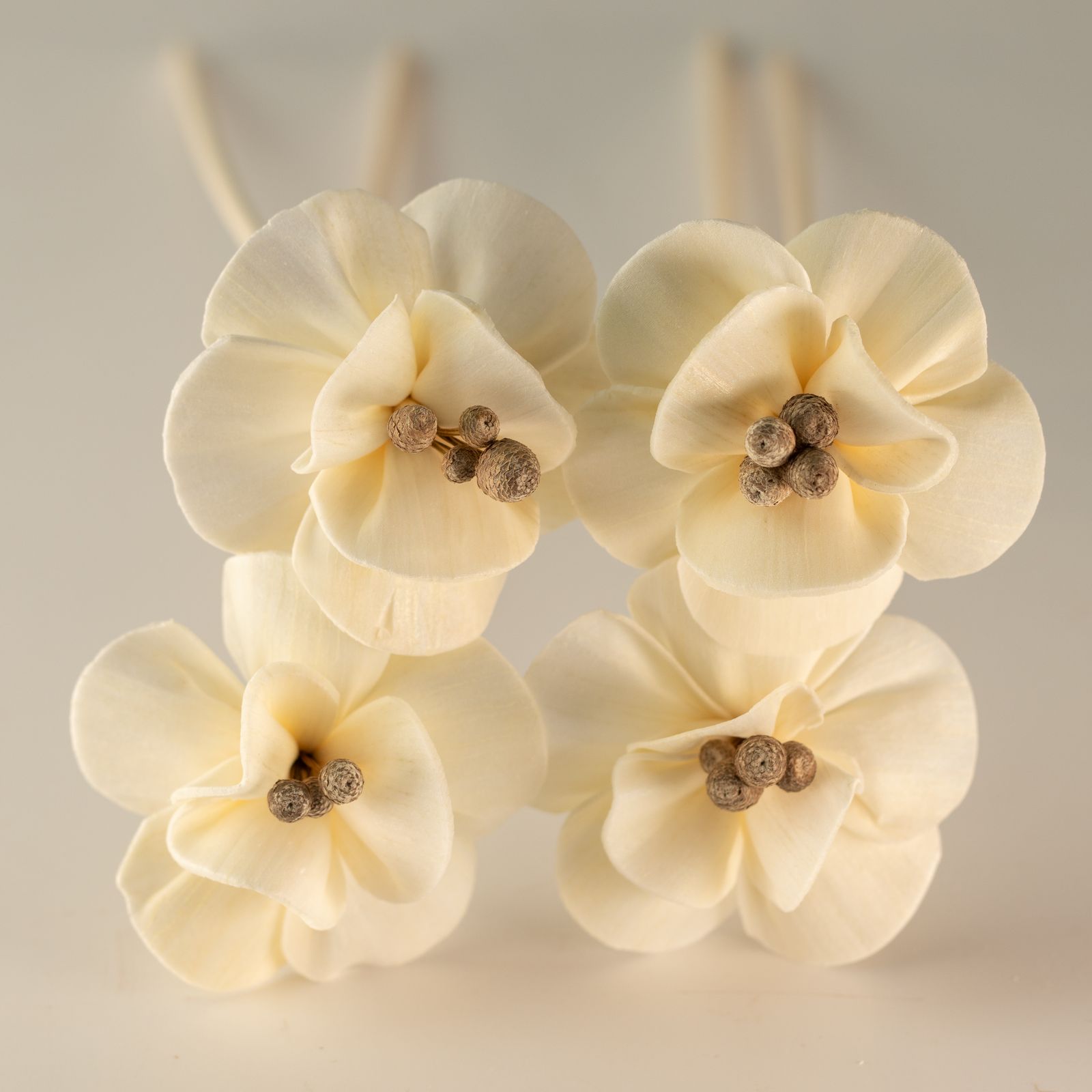 Flor Difusora de Madera Lirio Mediana – Pack de 4, En Caña - Imagen 6