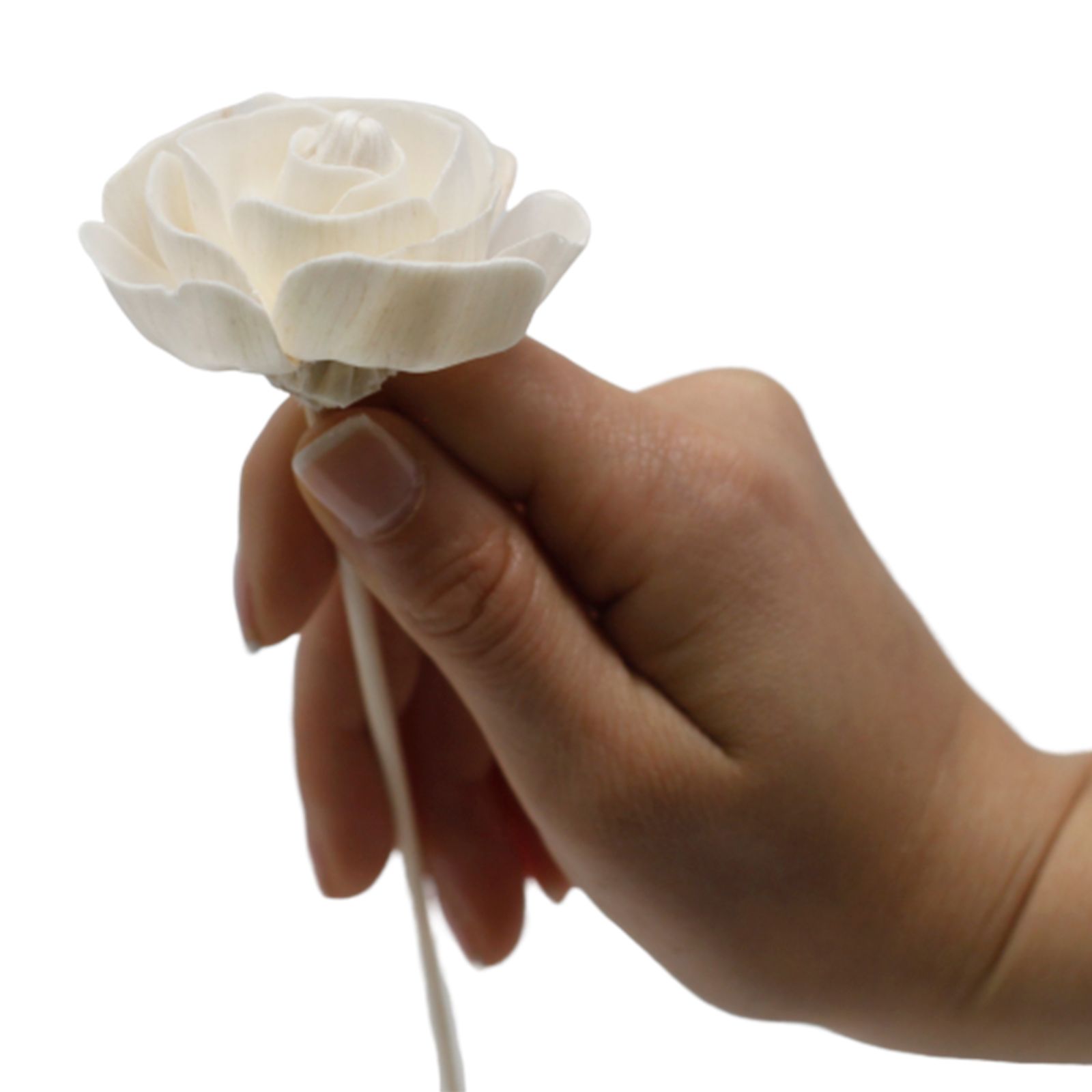 Flor Difusora de Madera Rosa Mediana – Pack de 4, En Caña - Imagen 11