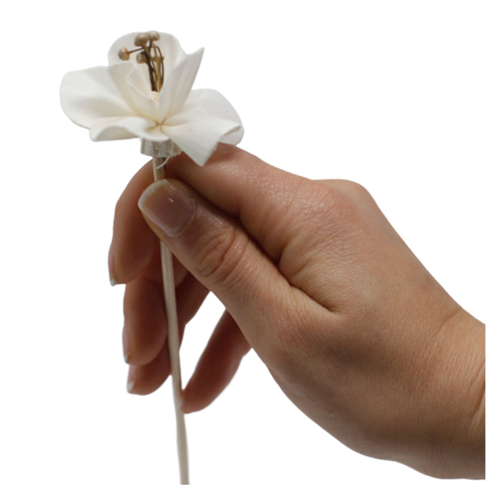 Flor Difusora de Madera Lirio Mediana – Pack de 4, En Caña - Imagen 12